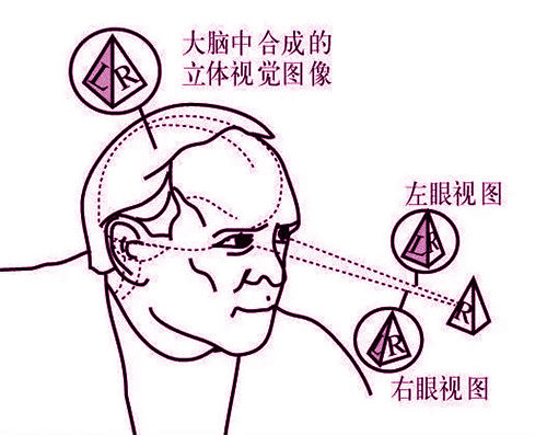 旋乐吧spin8·(中国游)手机版官方网站